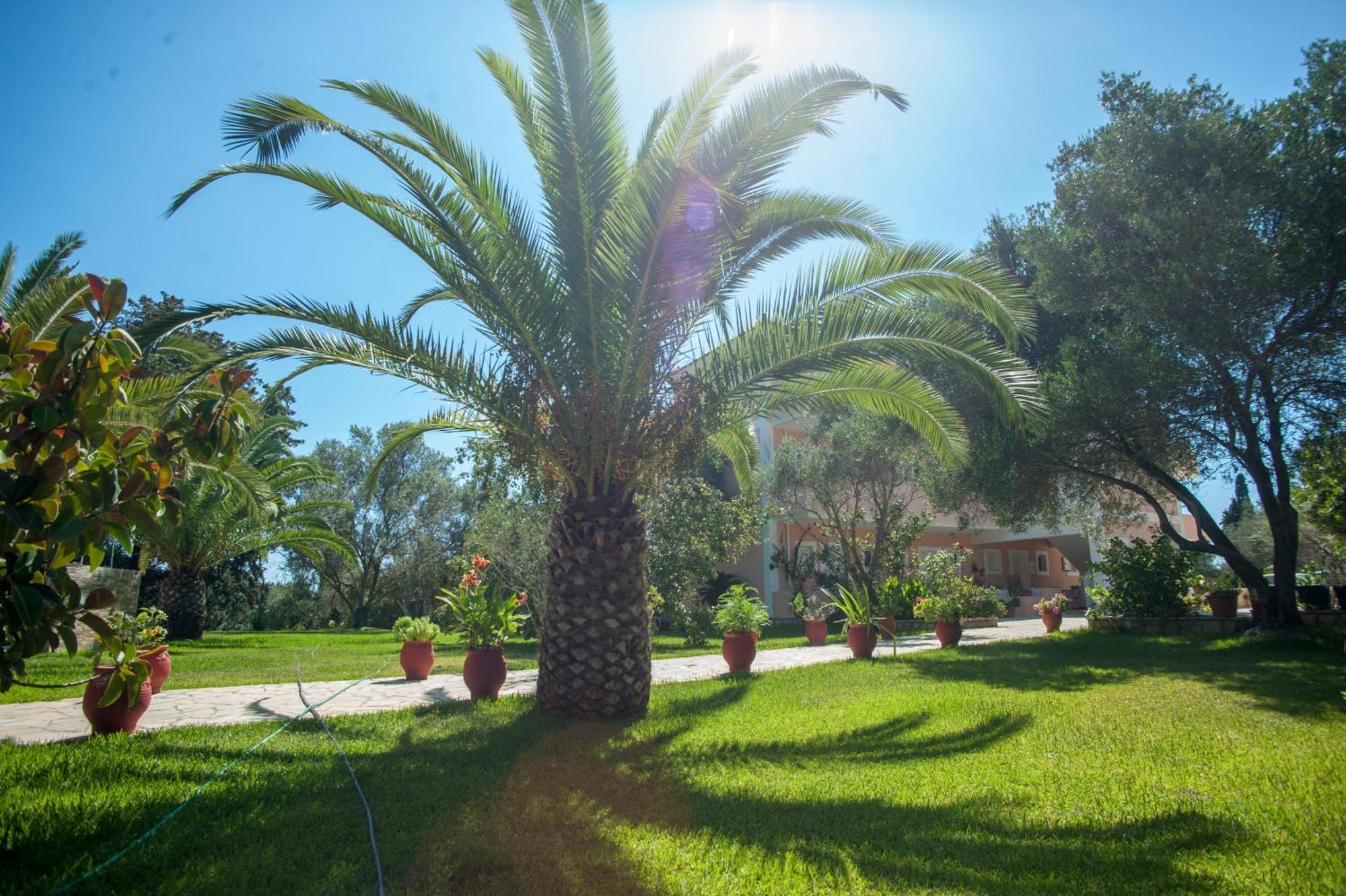 Helena Inn Kefalonia Island Екстер'єр фото